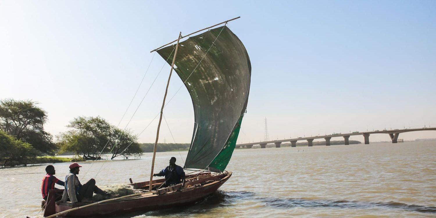 Nildeltat påverkas av människans ensidiga synsätt på världens floder, enligt Världsnaturfonden. Arkivbild.