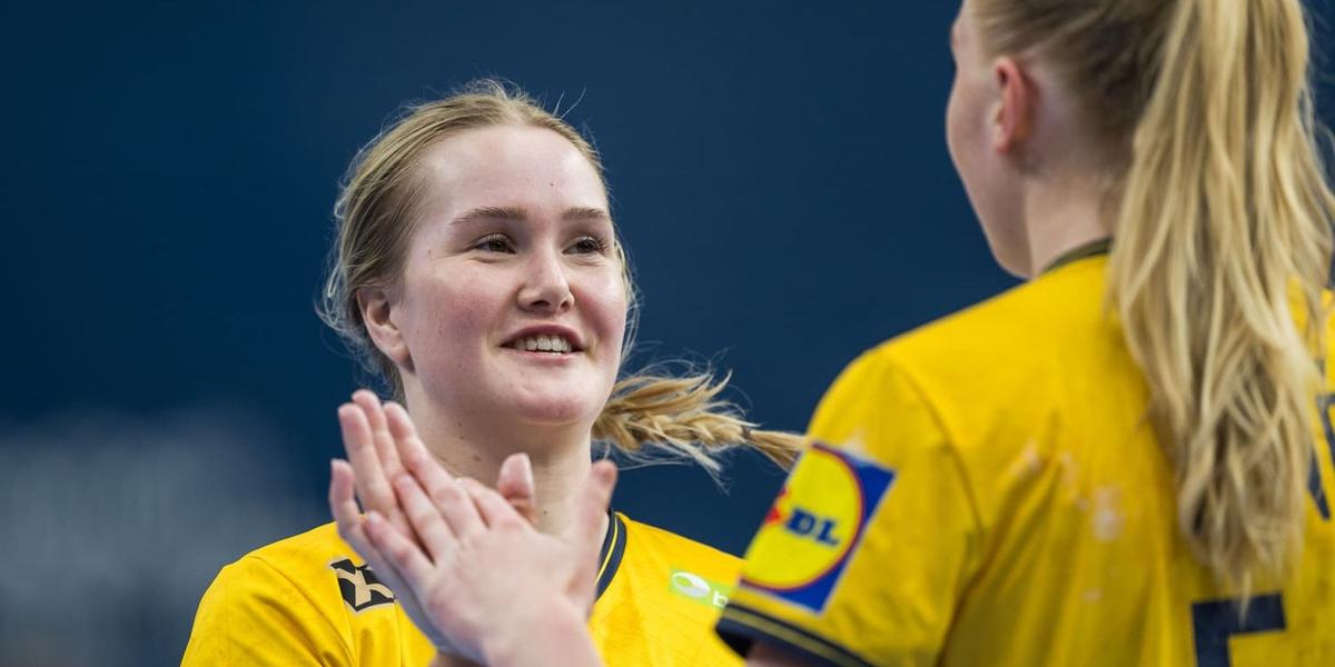 Volleyball: Sweden prepares for Paris Olympics after defeat
