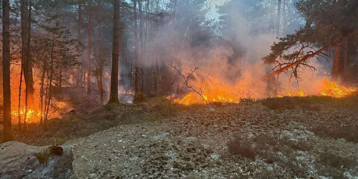 19 hektar skog brinner i Delsjöområdet – räddningstjänsten avvaktar med aktiv släckning på grund av farlig terräng